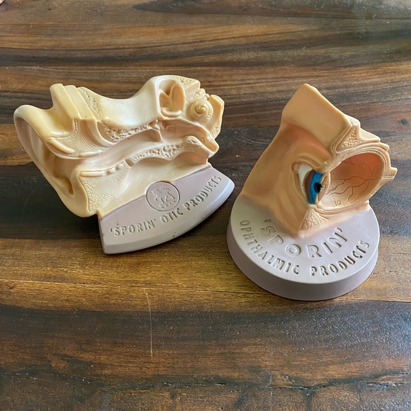 Vintage 'Sporin Otic Ophthalmic Products Eye Ball Ear 3D Model Diagram
